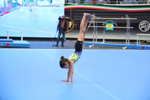 3K6A8606.jpg