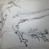 Saharan Jungle Tree Life