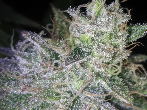 IMG 20191202 203220.jpg