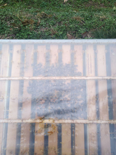 IMG 19a63b491bcffef9a052c8df21fc3b3e V.jpg