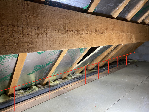 E7EAD406 29B5 4789 A793 9133C57B1229.jpg