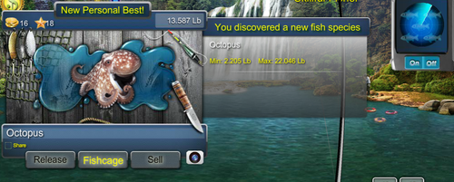octopus.png