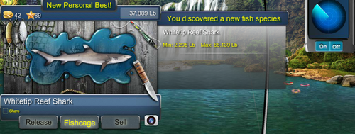 Whitetip Reef Shark.png