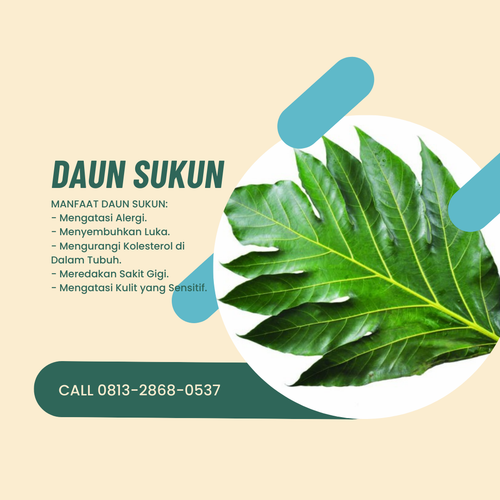Desain 81 Daun Sukun.png