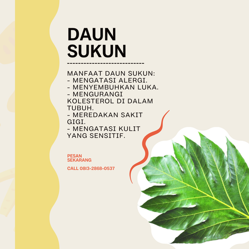 Desain 83 Daun Sukun.png