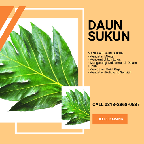 Desain 84 Daun Sukun.png