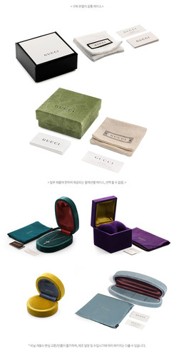 GUCCI case jewellery.jpg
