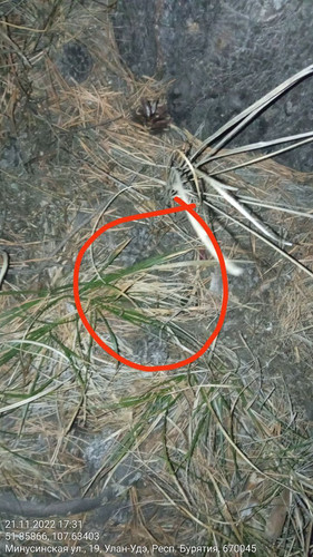 IMG 20221121 174357 202.jpg