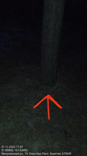 IMG 20221121 174356 981.jpg