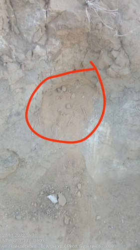 IMG 20221121 165107 894.jpg