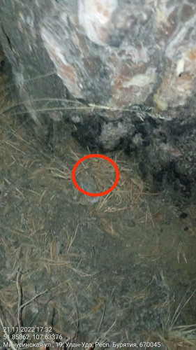 IMG 20221121 174127 816.jpg