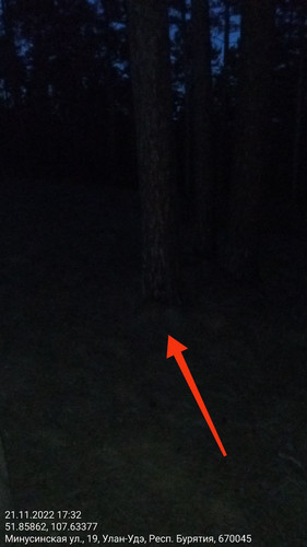 IMG 20221121 174127 896.jpg