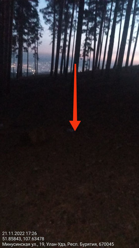 IMG 20221121 185801 448.jpg