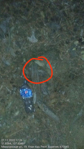 IMG 20221121 185801 497.jpg