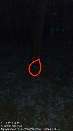 IMG 20221121 185808 298.jpg