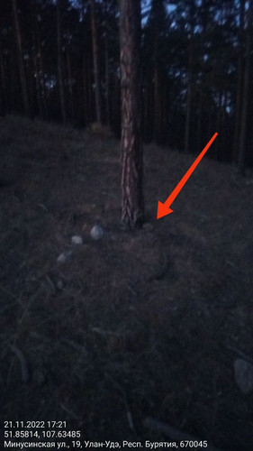 IMG 20221121 185822 714.jpg