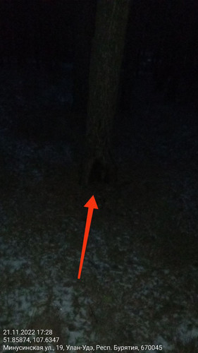 IMG 20221121 185751 198.jpg