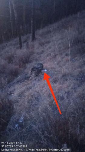 IMG 20221121 185842 817.jpg