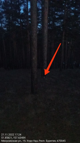 IMG 20221121 185813 233.jpg