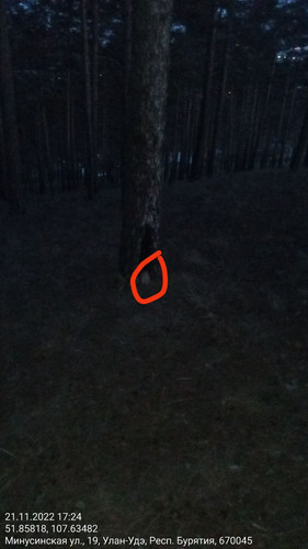 IMG 20221121 185813 816.jpg