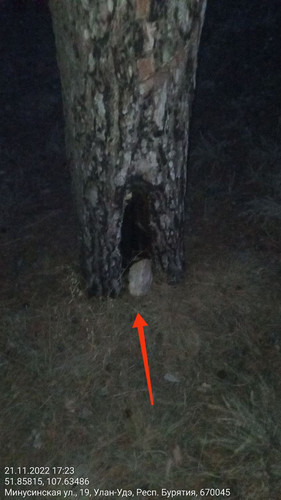 IMG 20221121 185813 280.jpg