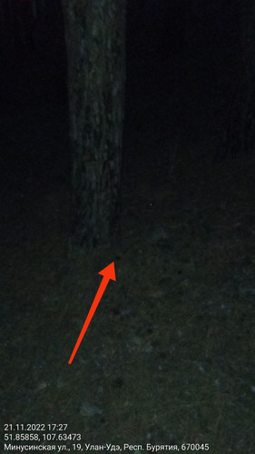 IMG 20221121 185757 034.jpg