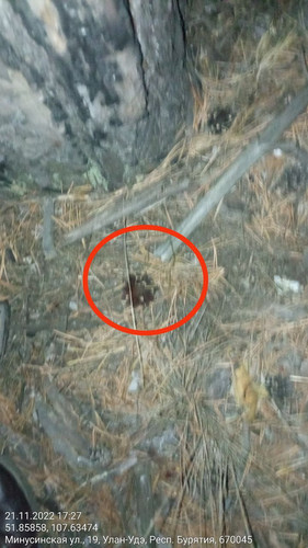 IMG 20221121 185756 905.jpg