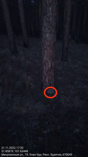 IMG 20221121 185828 055.jpg