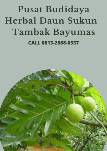 desain daun sukun 34.png