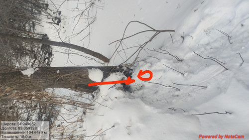 IMG 20221121 141935.jpg