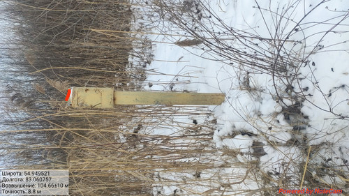 IMG 20221121 142514.jpg