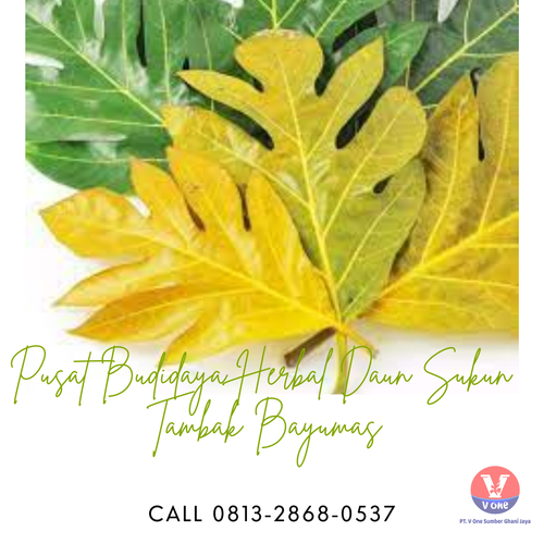 desain daun sukun 33.png