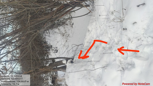 IMG 20221121 141955.jpg