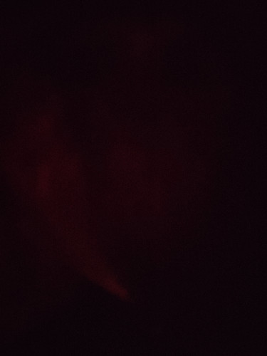 1669053081274827908615043596864.jpg