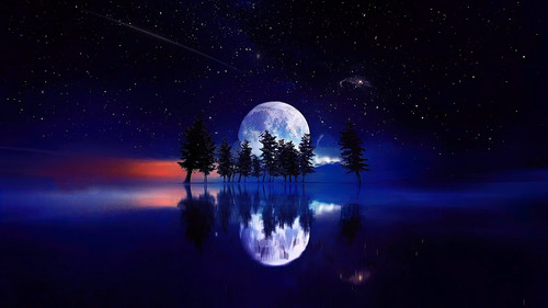 IMG 20220818 10580886.jpg