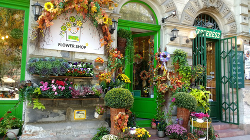 IMG 20170925 152550682 HDR.jpg