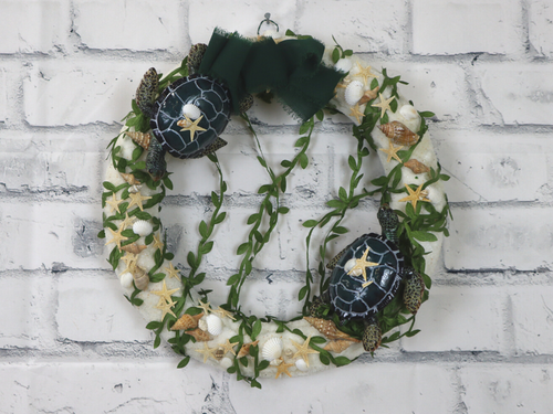 42 Chelonia Mydas.png