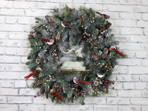 49 Nature's Wonder.png