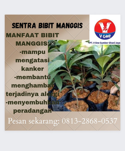 IMG 20221118 103342.jpg