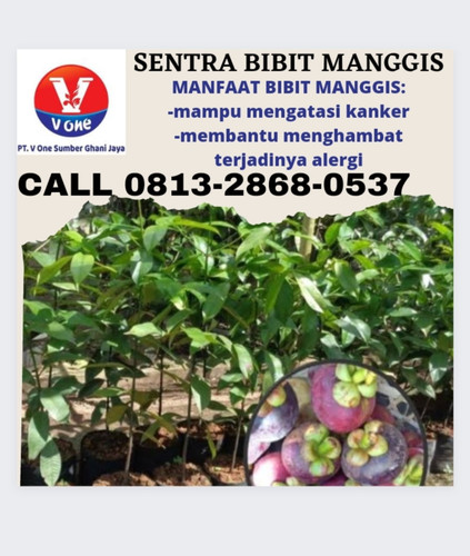 IMG 20221118 103419.jpg