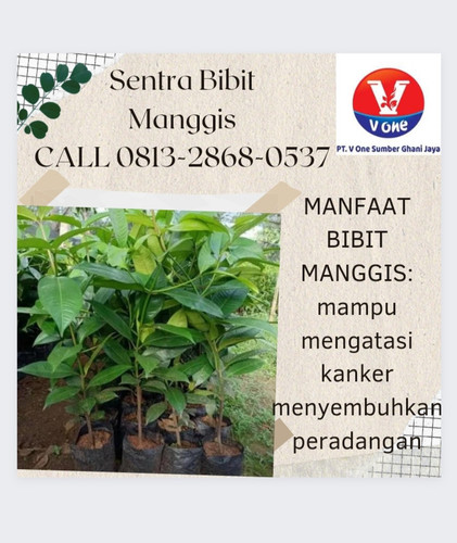 IMG 20221118 103447.jpg