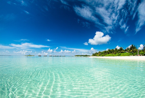 beach.jpg