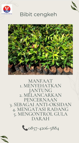 IMG 20221121 171537.jpg