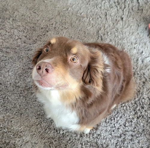 Screenshot 20221012 180925 Gallery.jpg