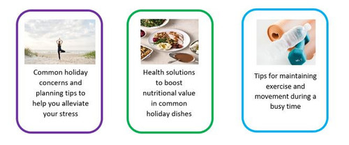 Healthy Holiday Guide graphic.jpg