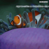 ezgif 4 3b5f4f0682.gif