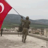 ezgif.com resize.gif