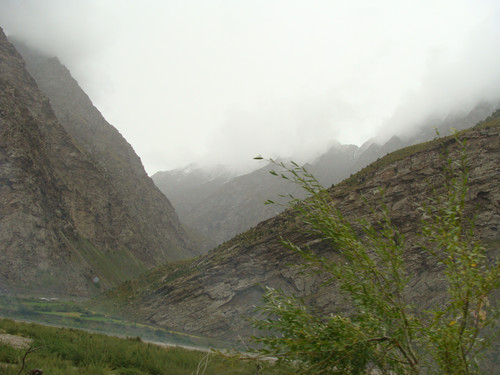 DSC00001.jpg
