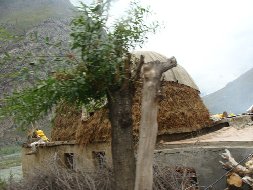 DSC00003.jpg