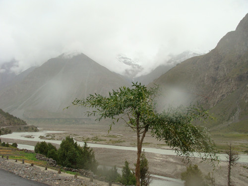DSC00011.jpg